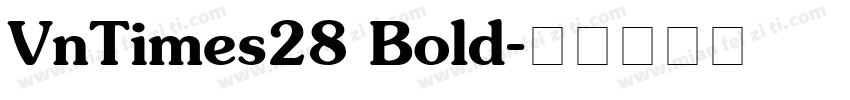 VnTimes28 Bold字体转换